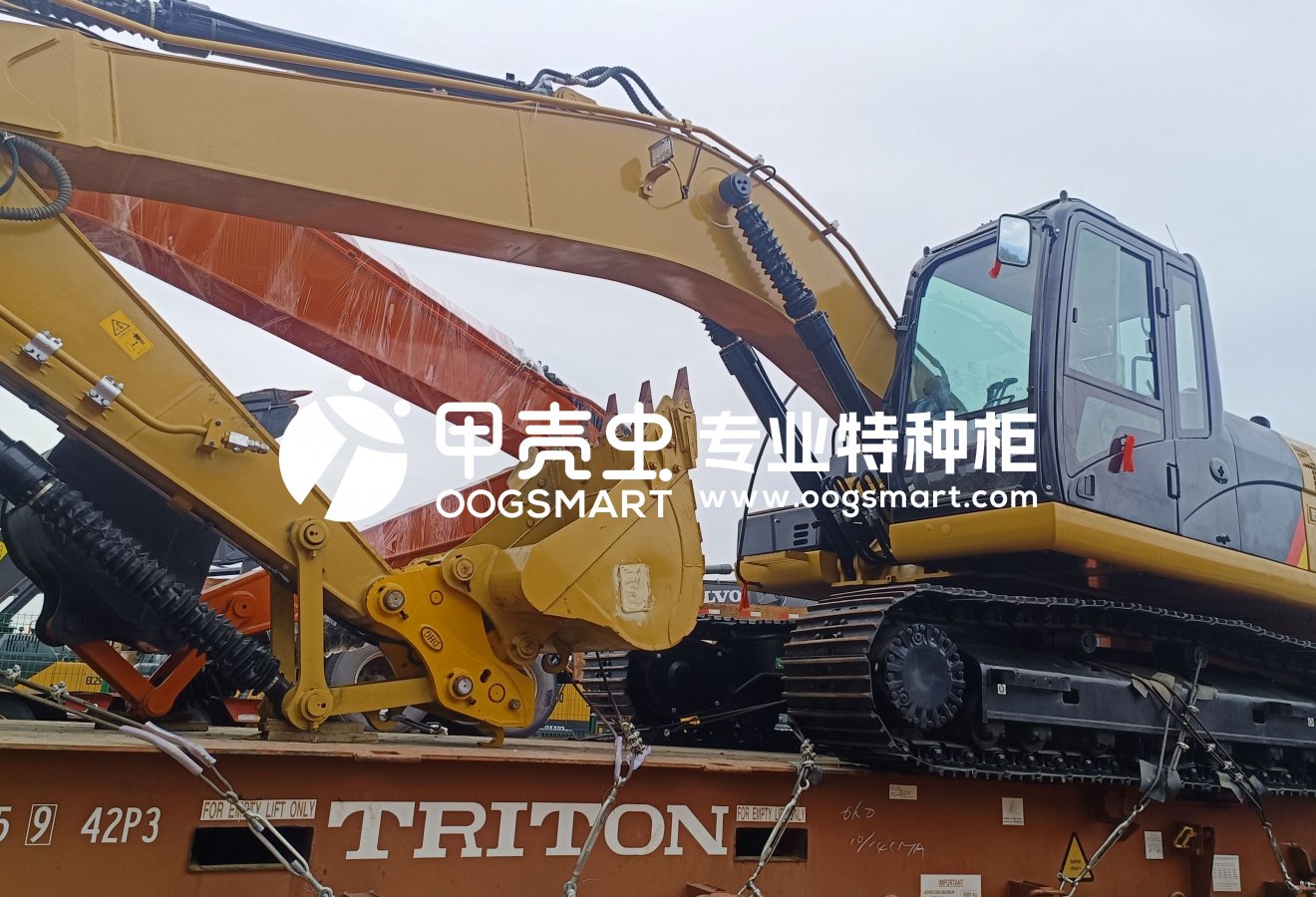 SHA--BUENAVENTURA 1X40FR